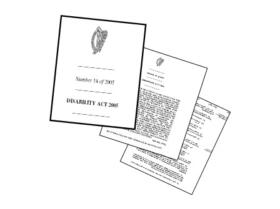 Irish disability legislation
