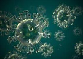 Virus cells up close