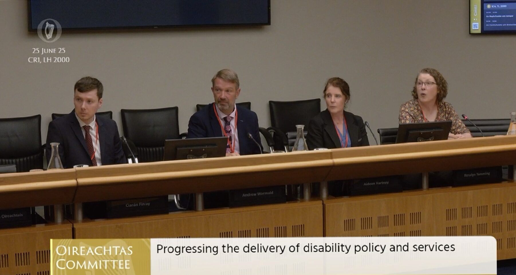 Oireachtas committee on disability matters