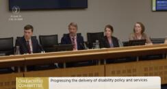 Oireachtas committee on disability matters